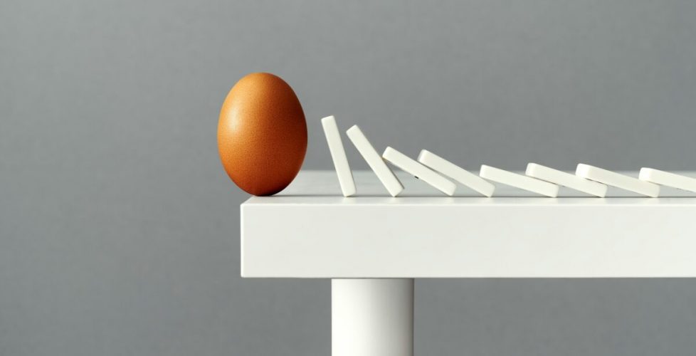 PCMG ASSEMBLY 2024 6